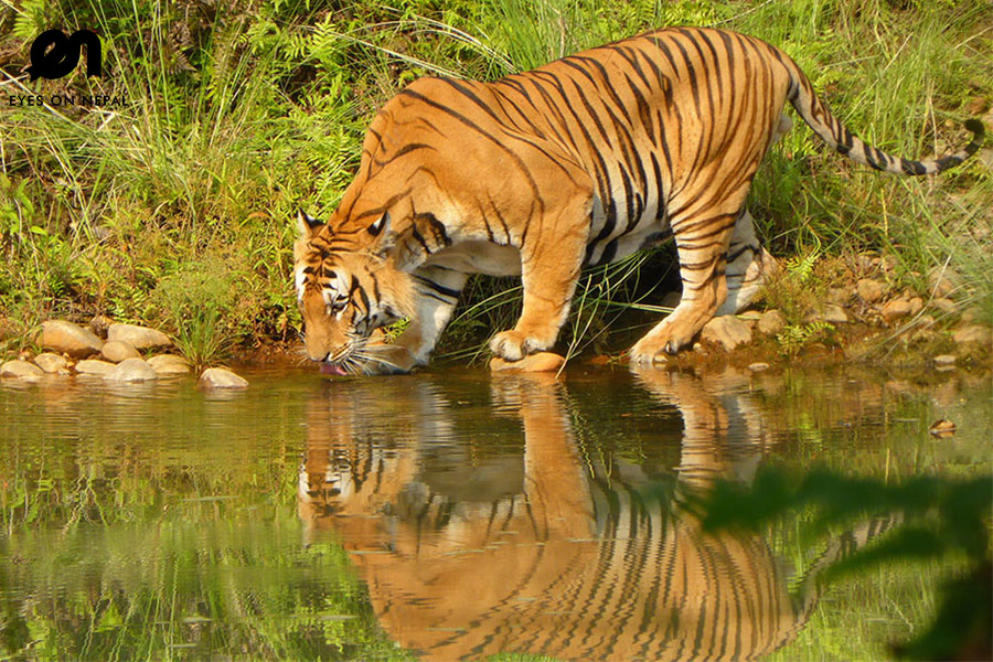 Sacred & Untamed Nepal