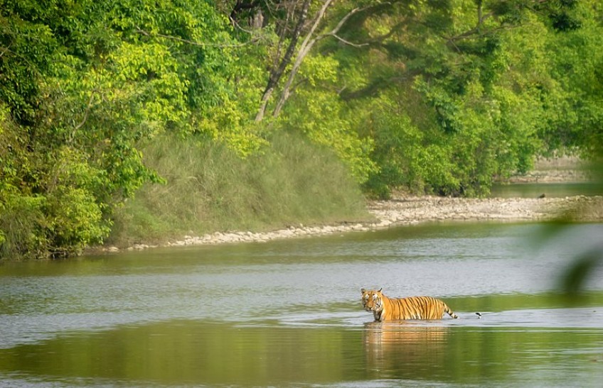 Bardiya